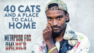 40 Cats and a Place to Call Home