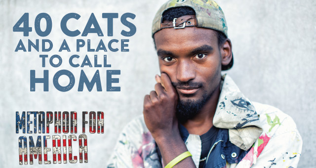 40 Cats and a Place to Call Home
